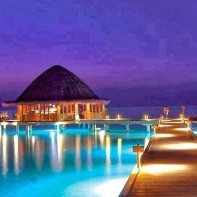 serina4234's profile picture. 