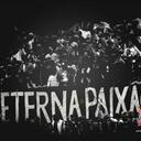 David Viera de souza - @viniciusviera - Twitter