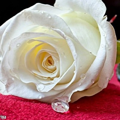 amar078032's profile picture. 