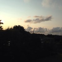 Peter Sieben (@peterpeter2901) Twitter profile photo