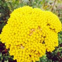 marcus griffiths - @stormtrooper007 - Twitter