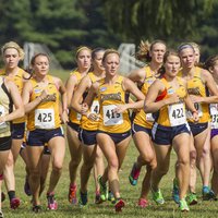 Canisius XC/Track (@gogriffsxc) 's Twitter Profile