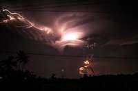 galvanico_82034's profile picture. 