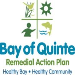 The Bay of Quinte Remedial Action Plan and its partners are, successfully, under-taking actions to rehabilitate the Bay of Quinte.