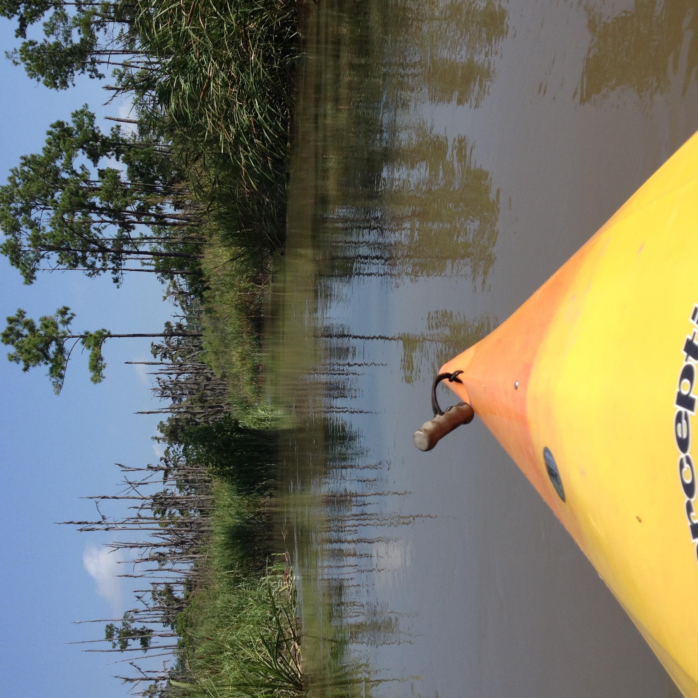 6th Grade Science Teacher at Broadview Middle School in Burlington, N.C.