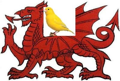 #DissolveTheUnion #CelticUnity
#plaidcwmru #IndyWales #Eu4us4Eu #FBPE #FBPV #indyref2 #Annibyniaeth #otbc
