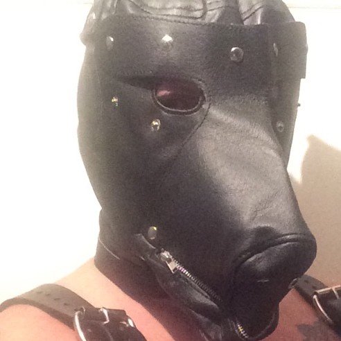 Slave, sub, very much into femdom, filming humiliation.