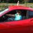 micb59's profile image