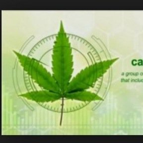 Stonners unite lets make this beatiful plant legal everywhere 
CA.