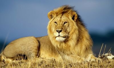 xiomigradis's profile picture. 