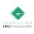 FundacionExpo's profile image