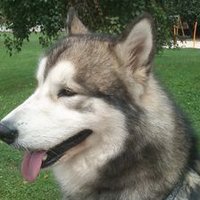 marcos suarez (@jmarcossuarez) 's Twitter Profile