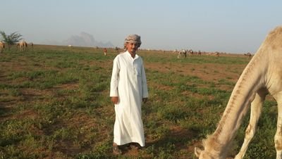 عبيدالله النقيشى الرشيدي من السودان