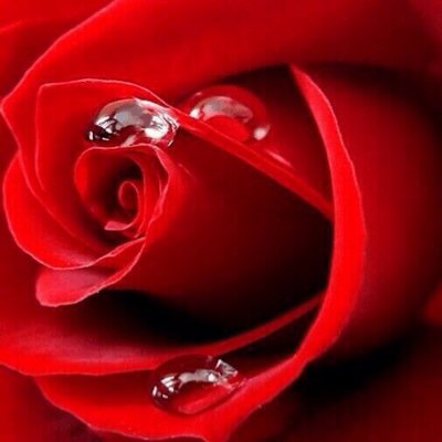 الْبَعْض لَهُم موَقْع خَاص فِي نُفُوْسِنَا . . نُحِب قُرْبُهُم . . وَ يبعثِرنا بَعْدِهِم . ! فـيَا رَب لَا تَحْرِمْنَا مِن تِلْك الْأَرْوَاح ( الرياض )