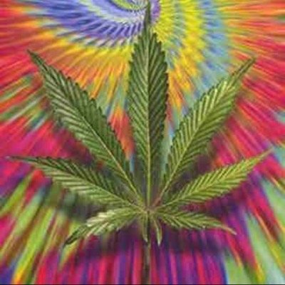 Marijuana420x's profile picture. let the good times roll, preferably in a joint!