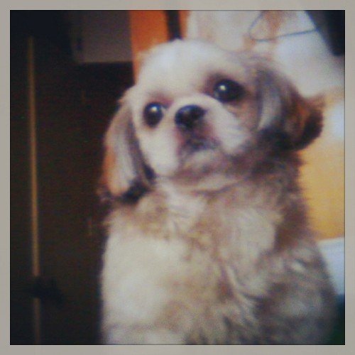 wanchodartph's profile picture. 