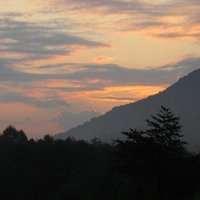 PMSS (@pinemtnss) 's Twitter Profile