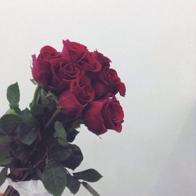 ‏‏‏‏‏‏رحم الله روحاً كان وجودها بالدنيا جميلاً,