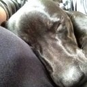 Susan Pemberton - @susan_susan59 - Twitter