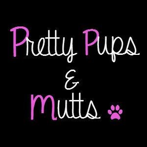 Pretty Pups & Mutts is your one-stop location for all your pet grooming needs. With years of experience, walk in today and walk out with a pristine pup!