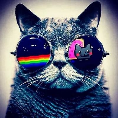 AshStunning's profile picture. 