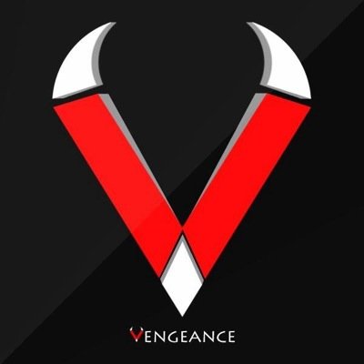 Team Vengeance™ - International eSports Organization || Sponsored by @BattleBeaverC @CustomConfig @StarDesigns