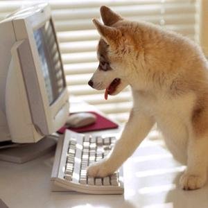 GirlLearningCS's profile picture. Senior sociology major picking up employable skills before graduation