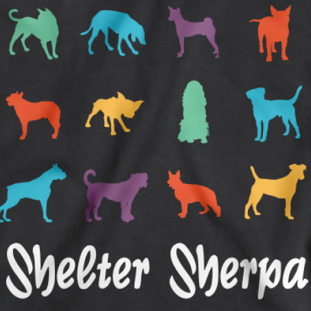 New Account! - Your guide to shelters and rescuing dogs. Website coming soon! Share a pic of your dog with #sheltersherpa and we'll repost the top ones.