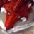 8caster's profile image