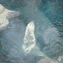 Sam Alston - @MooseAlston - Twitter