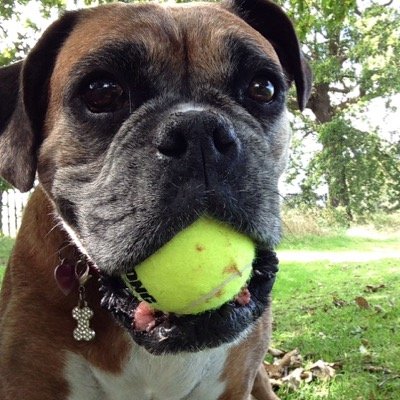 follow Ruby and Bella on Instagram https://t.co/Pzou60ssRH