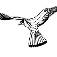 Frye Elementary (@fryefalcons) 's Twitter Profile