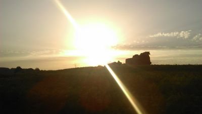 faninograsso's profile picture. 