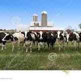 IantighePIFltd's profile picture. See http://t.co/tOhgGYDTot. We are professional team who manage existing purchasing/producer groups in Ireland and set up new groups.