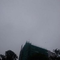 sareban (@nicejoe4x) 's Twitter Profile