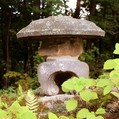 Love a variety of philosophies. Reflecting on human nature in tranquil gardens. Interesting opinions.