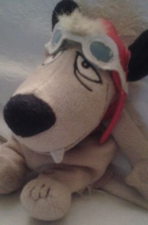 themorgs66's profile picture. 