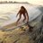 SeaSisterSophia's profile image