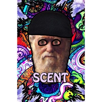 ayy_lmaoTweets's profile picture. Follow for skateboarding/weed pictures and tweets! ☮