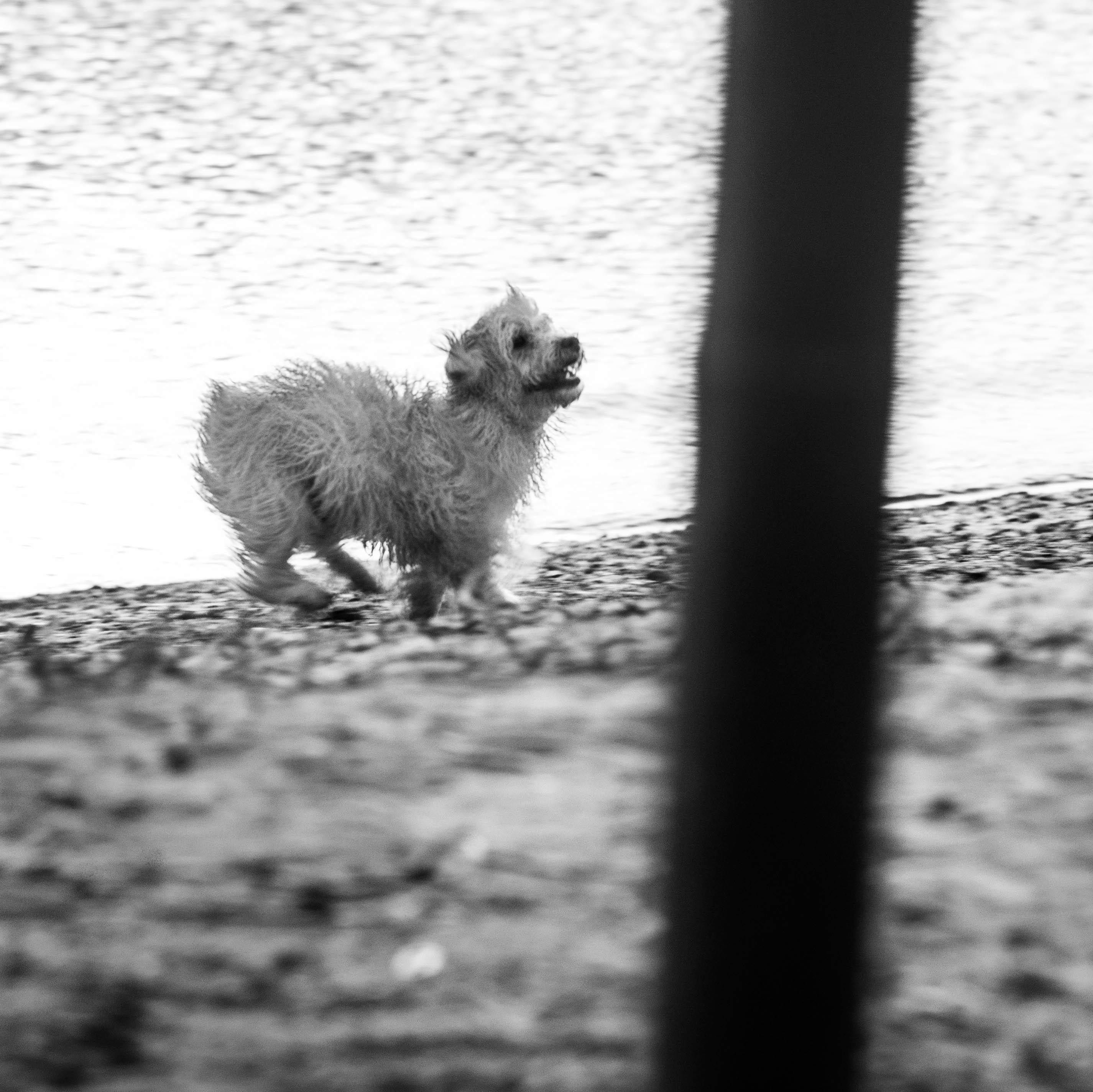 jonathangessica's profile picture. 