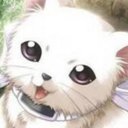 Juliet Lyons - @catbuglyons - Twitter