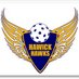 Hawick Hawks (@hawickhawks07) Twitter profile photo