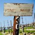 Adelaida Vineyards (@adelaidacellars) Twitter profile photo