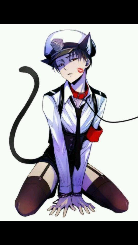 Hello there Brats!!~#Bi #Seke #Taken @DestroyAllTitan #Wolf/Human~I will be your Wolf If you promise to be my rabbit.