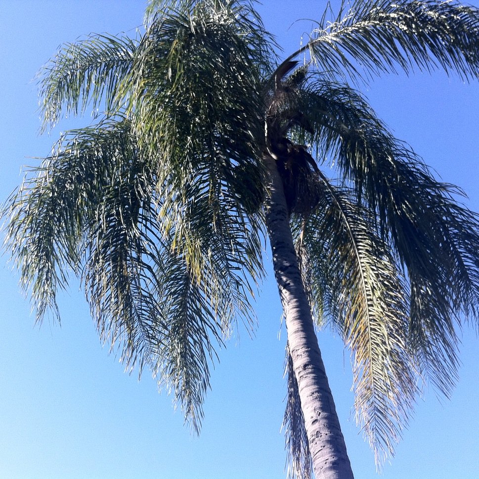Recruiting maven and strategic leader, avid Bassett Hound lover, adventurer and one day, I'd love to live on an island in the Caribbean (or close to it!)