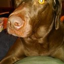 Bob Ruth - @emtffbobbio - Twitter