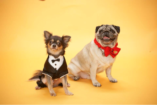 symphony517's profile picture. 中学生の頃からさだまさしの大ファン。しかし…2005年末、冬ソナを見て、韓国に興味を持ち、2006年4月ソン・スンホンと出会ってからは、韓国に嵌り現在に至ってます。同時に韓国語を勉強し始めるも、全く上達せず(T_T) 特に好きな人は、アン・ジェウク（俳優兼歌手） ソン・スンホン(俳優) シン・スンフン(歌手)