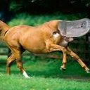 AJ Layton - @AJFtws - Twitter