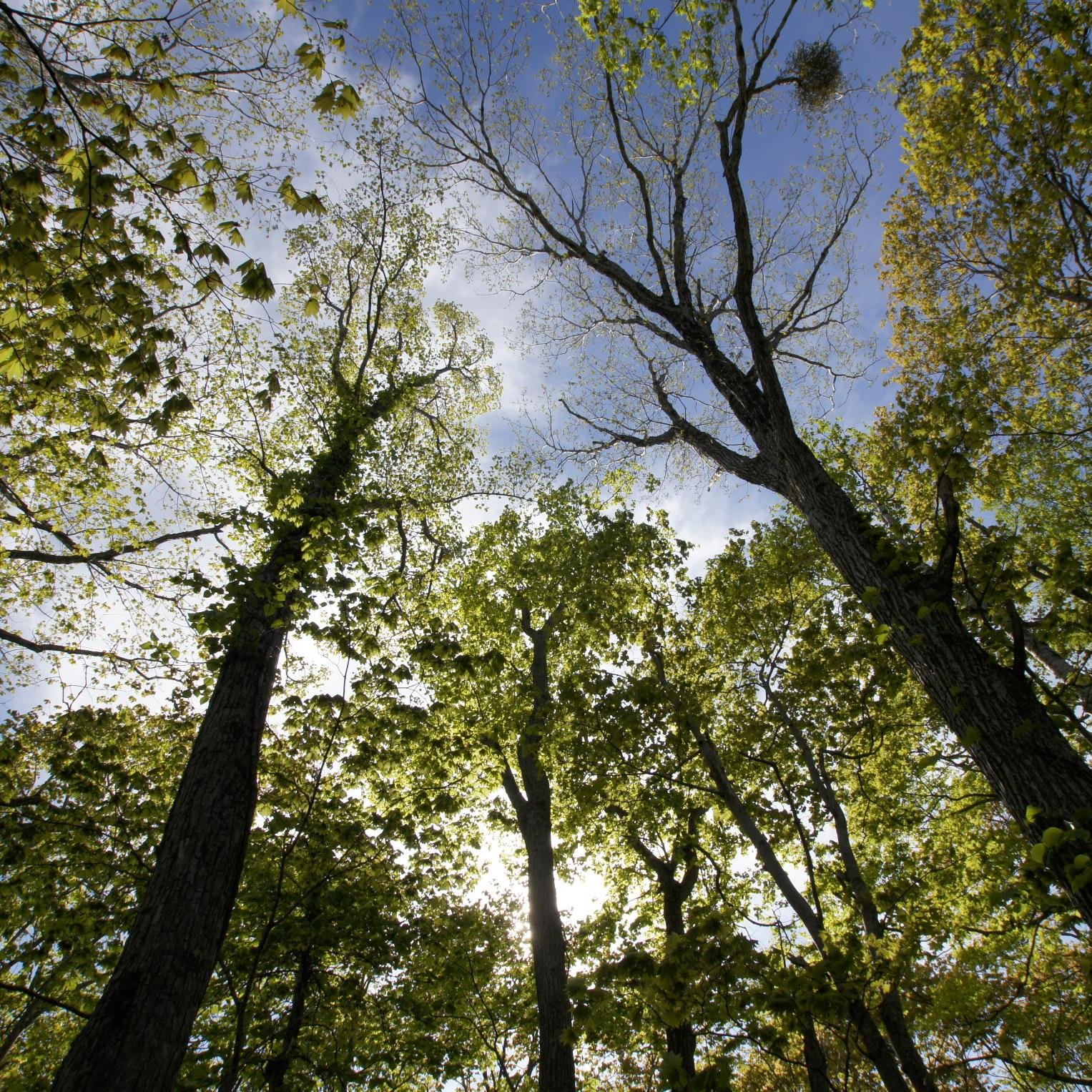 TRENDIA_ART's profile picture. 地元の情報を集めるためのアカウント。　とくに今はコロナの情報を見ていますが、かなり情報が遅れていますね。