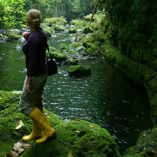 Conservation biologist working on wildlife trade, bushmeat, primates & tropical ecology. Part-time lover of reedbeds.